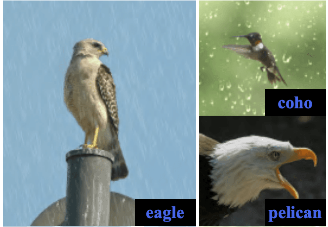about-me-image